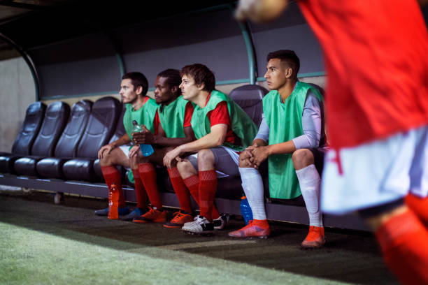 将极大地依 将极大地依